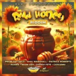 Patrice Roberts – Sweet Spot (Raw Honey Riddim) | Soca 2026
